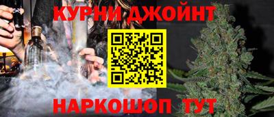 гашик Ирбит