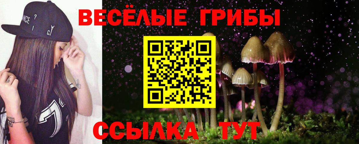 Галлюциногенные грибы MAGIC MUSHROOMS  Галлюциногенные грибы GOLDEN TEACHER  Прохладный  Вход с VPN 